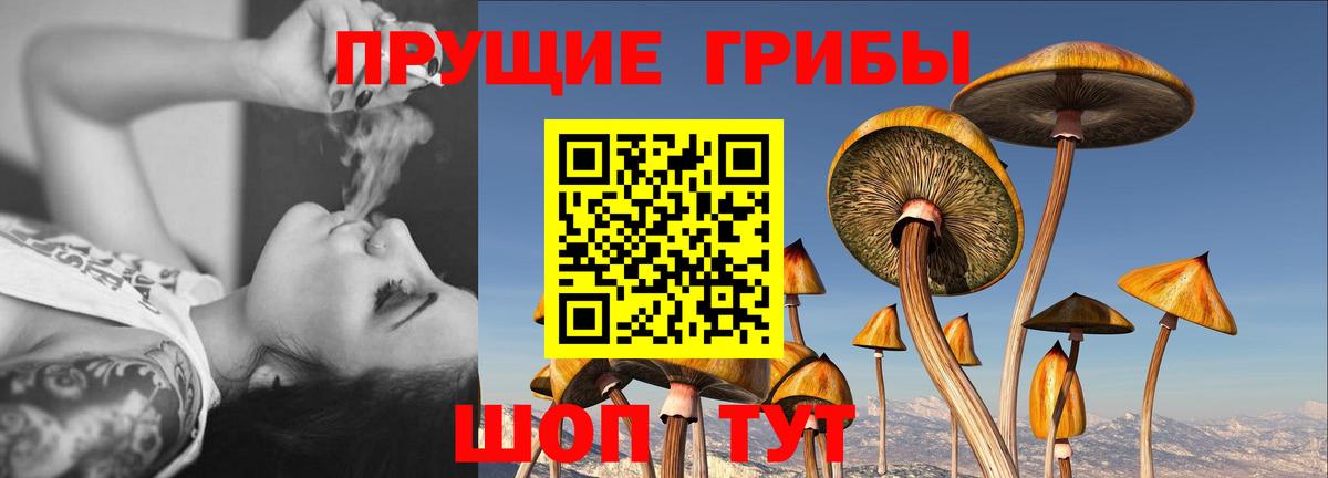 Галлюциногенные грибы GOLDEN TEACHER Усть-Лабинск